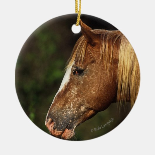 Appaloosa Horse Headshot 1 Keramisch Ornament (Voorkant)