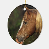 Appaloosa Horse Headshot 1 Keramisch Ornament (Links)