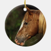Appaloosa Horse Headshot 1 Keramisch Ornament (Achterkant)