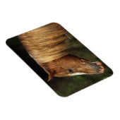 Appaloosa Horse Headshot 1 Magneet (Rechterzijde)