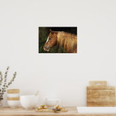 Appaloosa Horse Headshot 1 Poster (Keuken)
