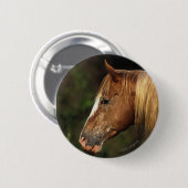 Appaloosa Horse Headshot 1 Ronde Button 5,7 Cm (Voorkant /achterkant)