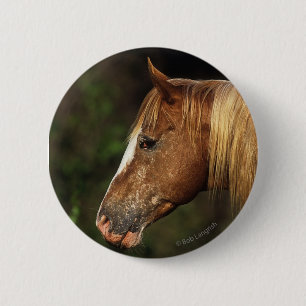 Appaloosa Horse Headshot 1 Ronde Button 5,7 Cm