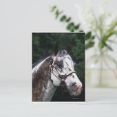 Appaloosa Horse Headshot 2 Briefkaart (Staand voorkant)