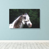 Appaloosa Horse Headshot 2 Canvas Afdruk (Insitu (Houten vloer))