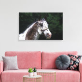 Appaloosa Horse Headshot 2 Canvas Afdruk (Insitu (Woonkamer))