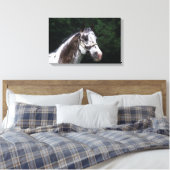 Appaloosa Horse Headshot 2 Canvas Afdruk (Insitu (Slaapkamer))