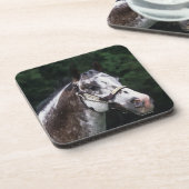Appaloosa Horse Headshot 2 Drankjes Onderzetter (Linkerzijde)