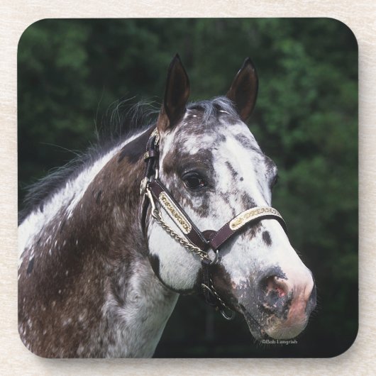 Appaloosa Horse Headshot 2 Drankjes Onderzetter (Voorkant)