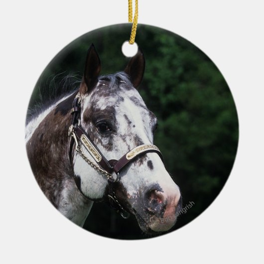 Appaloosa Horse Headshot 2 Keramisch Ornament (Voorkant)