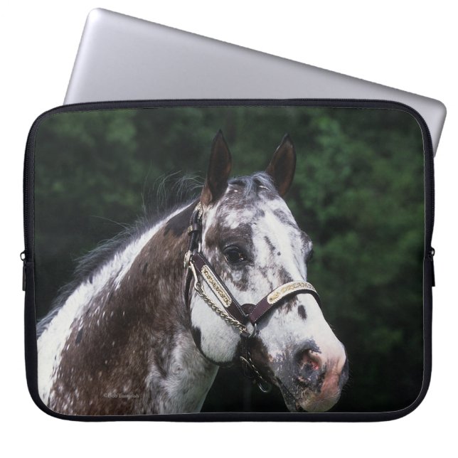 Appaloosa Horse Headshot 2 Laptop Sleeve (Voorkant)