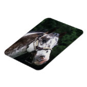 Appaloosa Horse Headshot 2 Magneet (Linkerzijde)