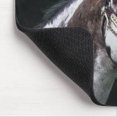 Appaloosa Horse Headshot 2 Muismat (Hoek)