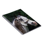 Appaloosa Horse Headshot 2 Notitieboek (Rechterzijde)
