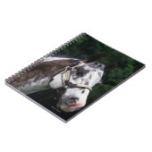 Appaloosa Horse Headshot 2 Notitieboek (Linkerzijde)