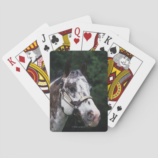 Appaloosa Horse Headshot 2 Pokerkaarten (Achterkant)