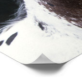 Appaloosa Horse Headshot 2 Poster (Hoek)