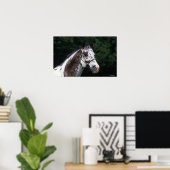 Appaloosa Horse Headshot 2 Poster (Thuiskantoor)