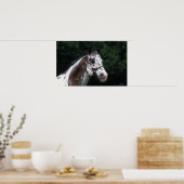 Appaloosa Horse Headshot 2 Poster (Keuken)