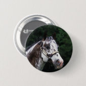 Appaloosa Horse Headshot 2 Ronde Button 5,7 Cm (Voorkant /achterkant)