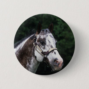 Appaloosa Horse Headshot 2 Ronde Button 5,7 Cm