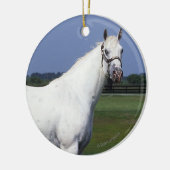 Appaloosa Horse Keramisch Ornament (Links)