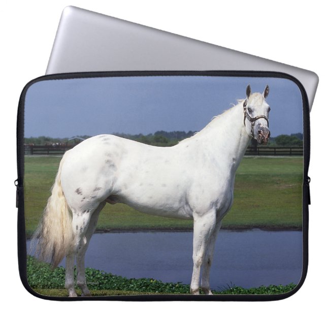 Appaloosa Horse Laptop Sleeve (Voorkant)