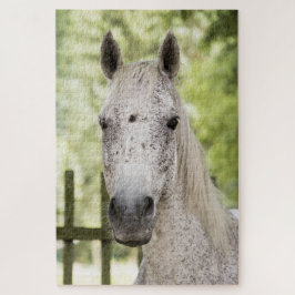 Appaloosa Horse Legpuzzel