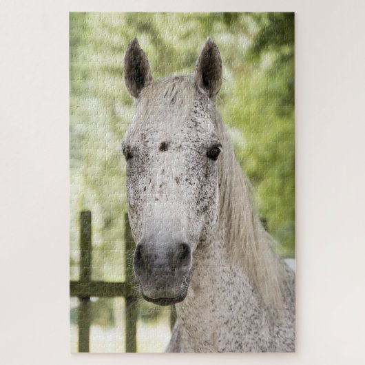Appaloosa Horse Legpuzzel (Verticaal)
