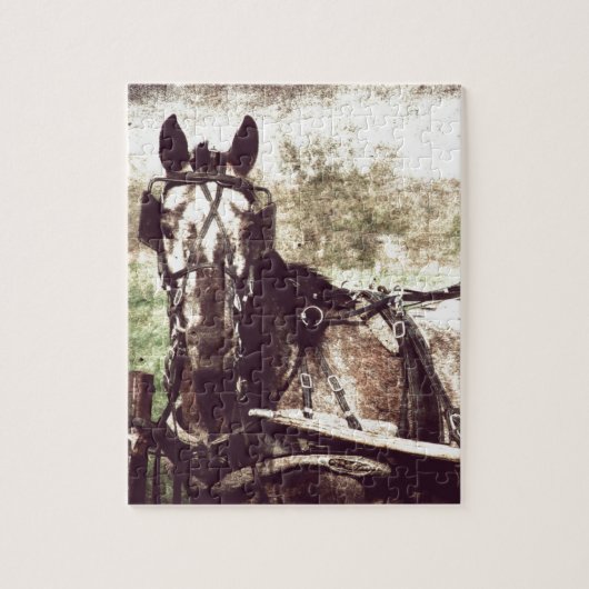 Appaloosa Horse Legpuzzel (Verticaal)