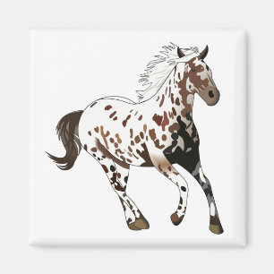 Appaloosa Horse Magneet
