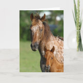 Appaloosa Horse Mare en Foal Headshot Kaart (Voorkant)