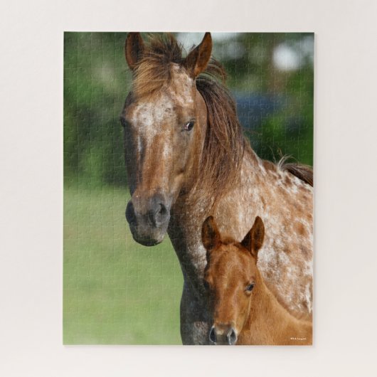 Appaloosa Horse Mare en Foal Headshot Legpuzzel (Verticaal)