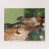 Appaloosa Horse Mare en Foal Headshot Legpuzzel (Horizontaal)
