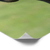 Appaloosa Horse Mare en Foal Headshot Poster (Hoek)