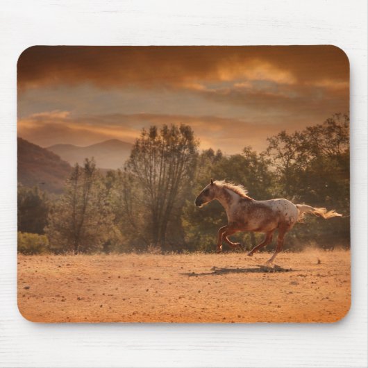 Appaloosa Horse Mousepad Muismat (Voorkant)