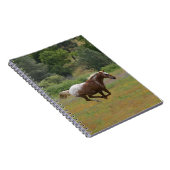 Appaloosa Horse Notitieboek (Rechterzijde)