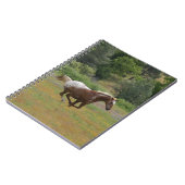 Appaloosa Horse Notitieboek (Linkerzijde)