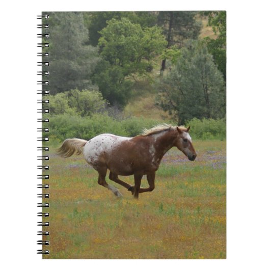 Appaloosa Horse Notitieboek (Voorkant)