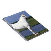 Appaloosa Horse Notitieboek (Rechterzijde)