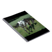 Appaloosa Horse Notitieboek (Rechterzijde)