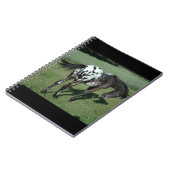 Appaloosa Horse Notitieboek (Linkerzijde)