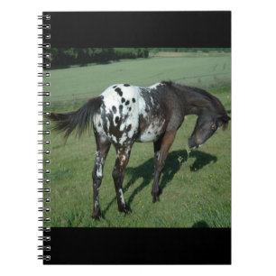 Appaloosa Horse Notitieboek