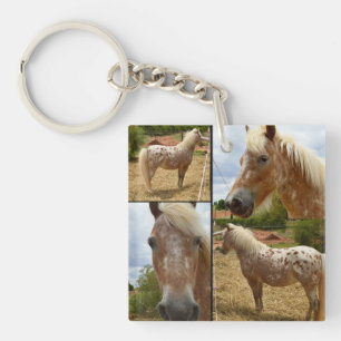 Appaloosa Horse Photo Collage Sleutelhanger