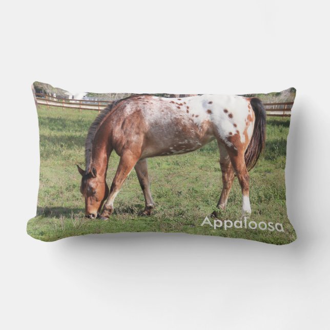Appaloosa Horse Pillow Kussen (Voorkant)