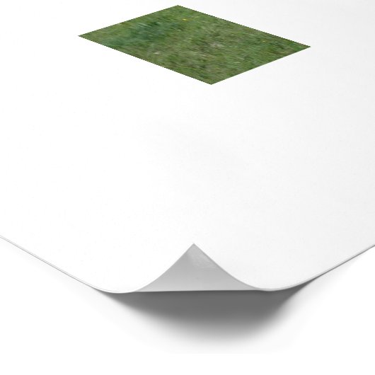 Appaloosa Horse Poster (Hoek)