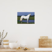 Appaloosa Horse Poster (Keuken)