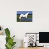 Appaloosa Horse Poster (Thuiskantoor)