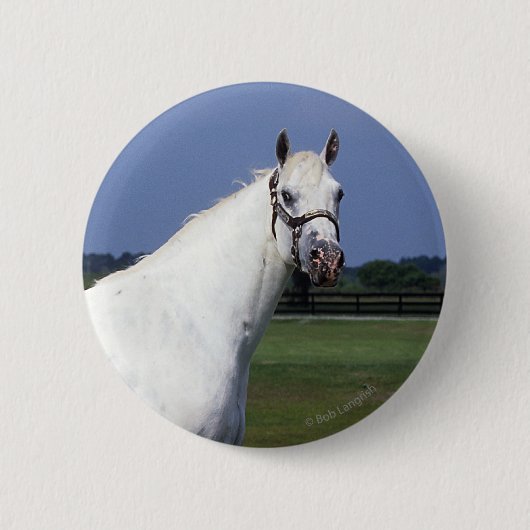 Appaloosa Horse Ronde Button 5,7 Cm (Voorkant)