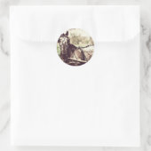 Appaloosa Horse Ronde Sticker (Tas)